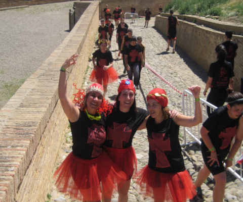 Open Imagination